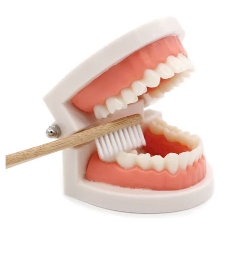 Children's Teeth Brushing Simulation Training Aid