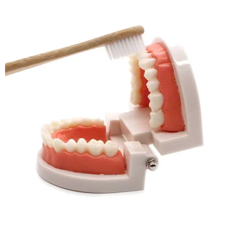 Children's Teeth Brushing Simulation Training Aid