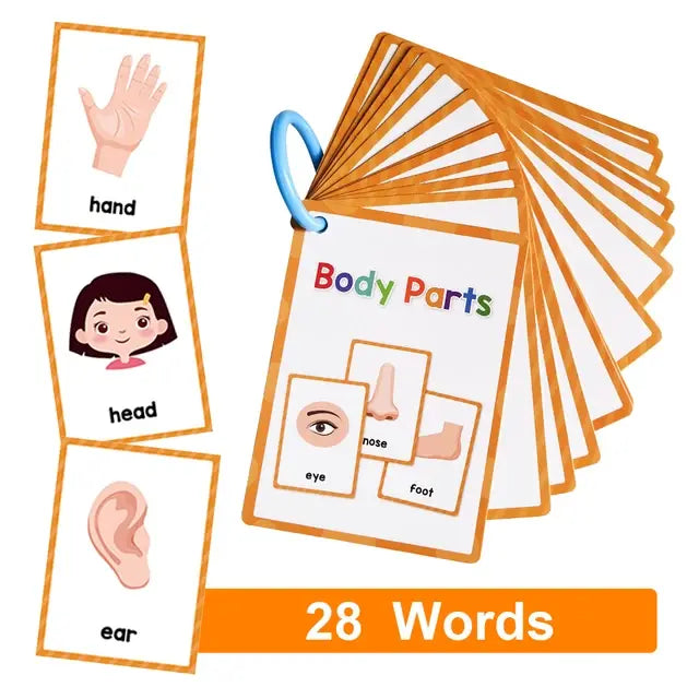 English Words Learning Flashcards - Visual Aid