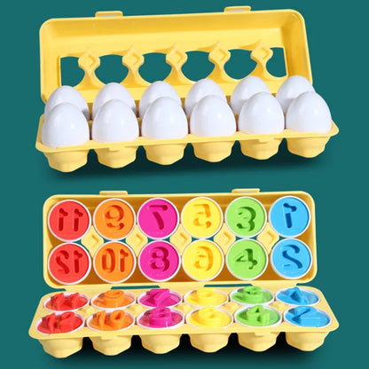 Matching Sensory Educational Eggs