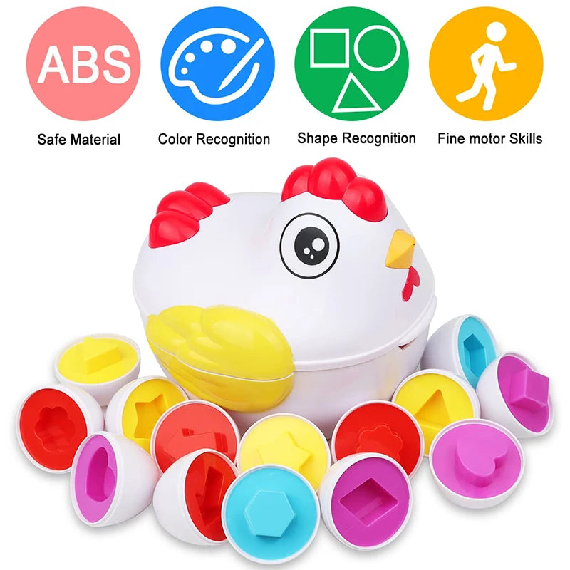 Matching Sensory Educational Eggs